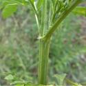 Img.VTax3066.Ex1.Img1