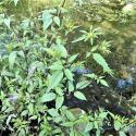 Img.VTax3066.Ex1.Img6