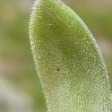 Img.VTax307.Ex1.Img6