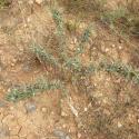 Img.VTax3075.Ex2.Img1