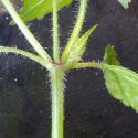 Img.VTax3082.Ex3.Img1