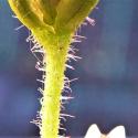 Img.VTax3082.Ex3.Img4