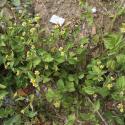 Img.VTax3082.Ex5.Img1