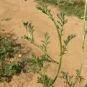 Img.VTax3088.Ex1.Img7