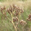 Img.VTax3104.Ex1.Img3