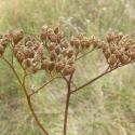 Img.VTax3104.Ex1.Img4