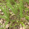 Img.VTax3105.Ex1.Img3