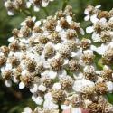 Img.VTax3105.Ex1.Img6