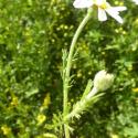 Img.VTax3112.Ex1.Img6