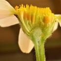 Img.VTax3112.Ex1.Img9