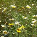 Img.VTax3116.Ex1.Img3