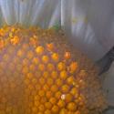 Img.VTax3126.Ex3.Img3