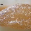 Img.VTax3133.Ex2.Img1