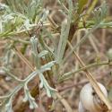 Img.VTax3140.Ex3.Img6