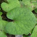 Img.VTax3151.Ex1.Img5