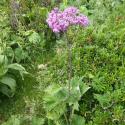 Img.VTax3154.Ex2.Img1