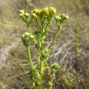 Img.VTax3179.Ex1.Img7