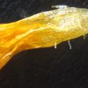Img.VTax3187.Ex3.Img3