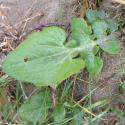 Img.VTax3189.Ex1.Img1