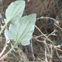 Img.VTax3189.Ex1.Img5