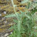 Img.VTax3199.Ex1.Img3