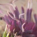 Img.VTax3201.Ex1.Img3