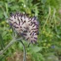 Img.VTax3203.Ex1.Img7