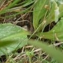 Img.VTax3203.Ex1.Img9