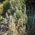 Img.VTax3204.Ex1.Img5