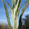 Img.VTax3204.Ex1.Img6