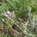 Img.VTax3204.Ex1.Img7