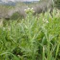 Img.VTax3207.Ex1.Img3