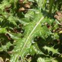 Img.VTax3207.Ex1.Img6