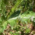 Img.VTax3207.Ex1.Img7