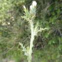 Img.VTax3207.Ex1.Img8