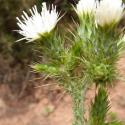 Img.VTax3207.Ex1.Img9