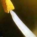 Img.VTax321.Ex4.Img9