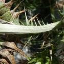 Img.VTax3211.Ex2.Img6
