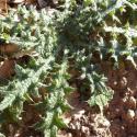 Img.VTax3219.Ex1.Img6