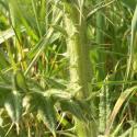 Img.VTax3219.Ex1.Img7