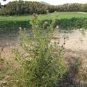 Img.VTax3219.Ex1.Img9