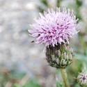Img.VTax3230.Ex2.Img3