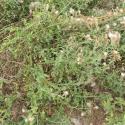 Img.VTax3230.Ex3.Img1
