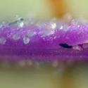Img.VTax3242.Ex3.Img6