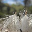 Img.VTax3248.Ex2.Img5