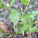 Img.VTax3257.Ex1.Img5