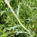 Img.VTax3291.Ex1.Img6