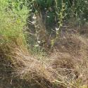 Img.VTax3295.Ex1.Img1