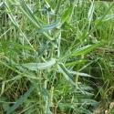 Img.VTax3295.Ex2.Img6