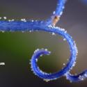 Img.VTax3295.Ex3.Img3